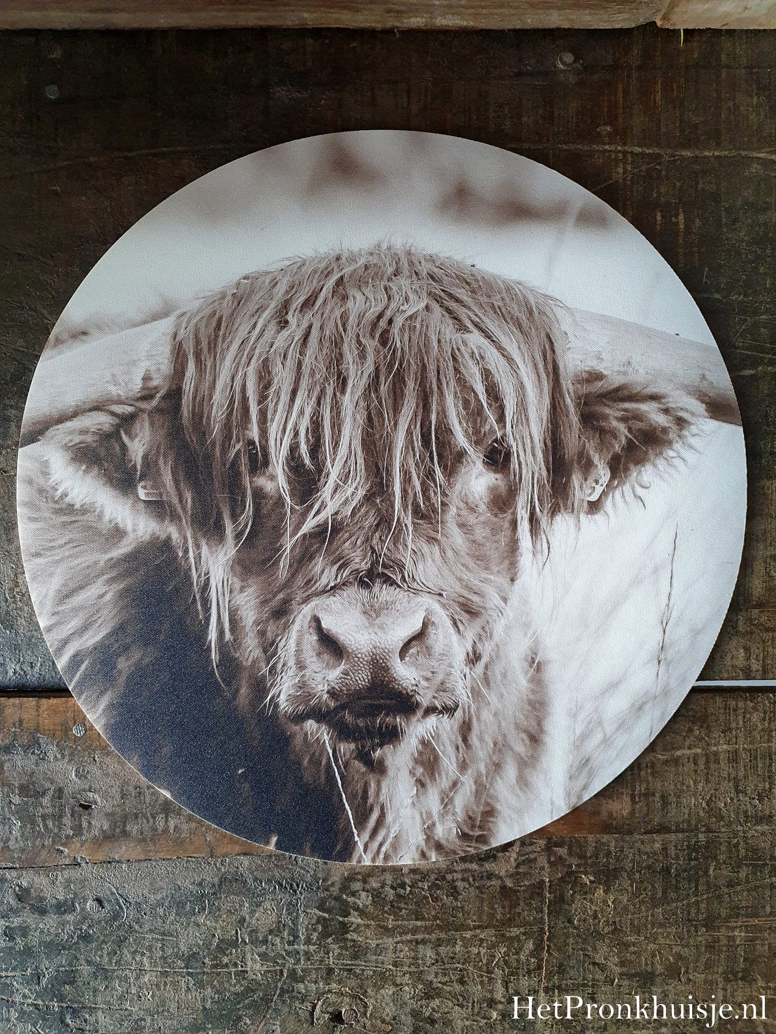 Pannenonderzetter. Hooglander sepia