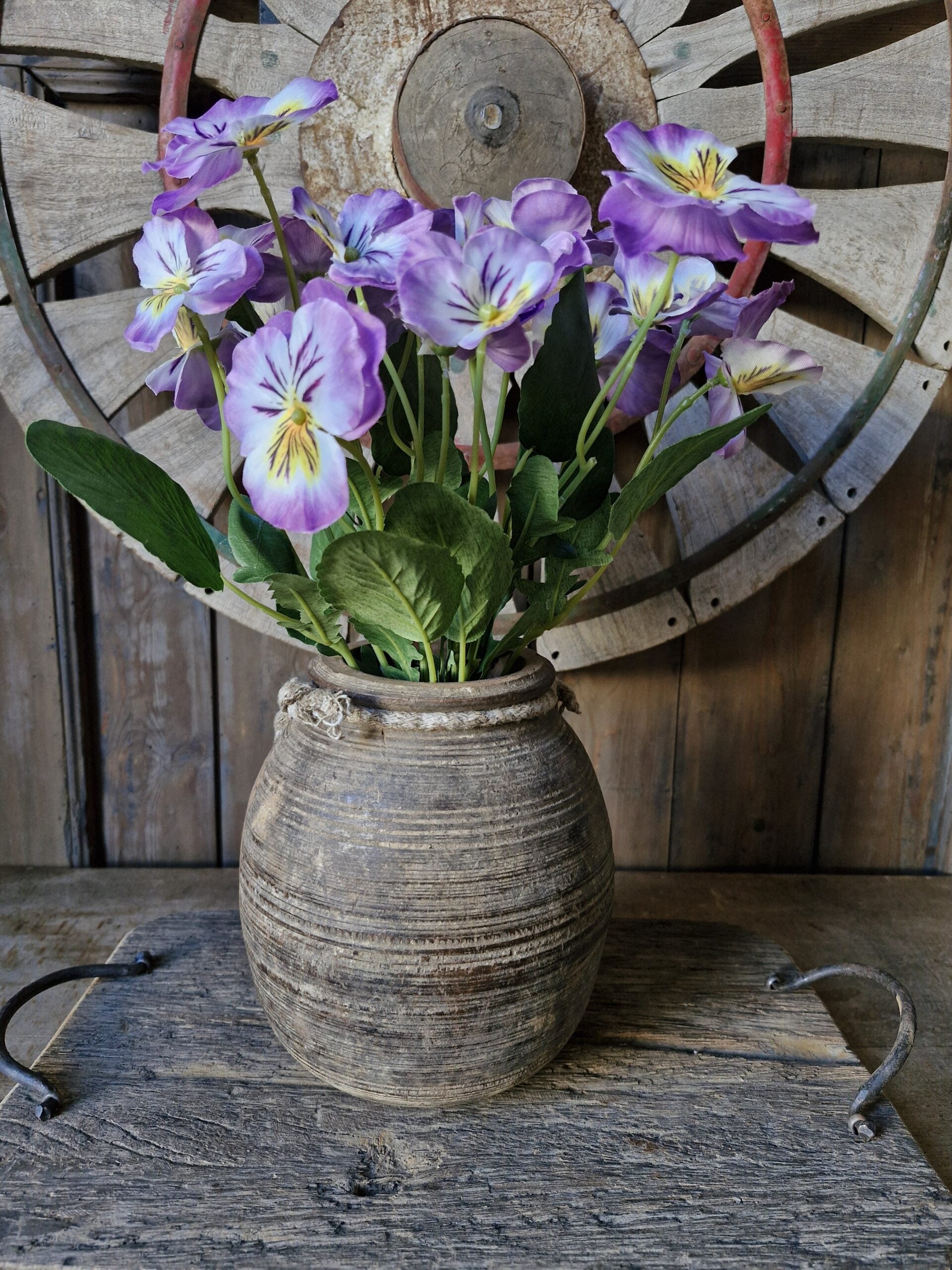 Viool bush purple 33cm