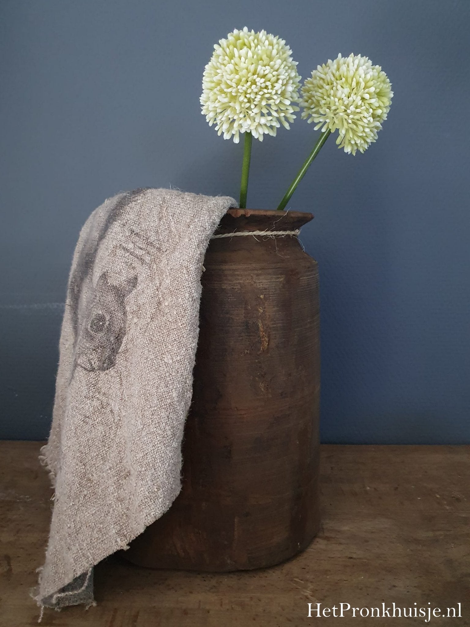 Allium. Cream