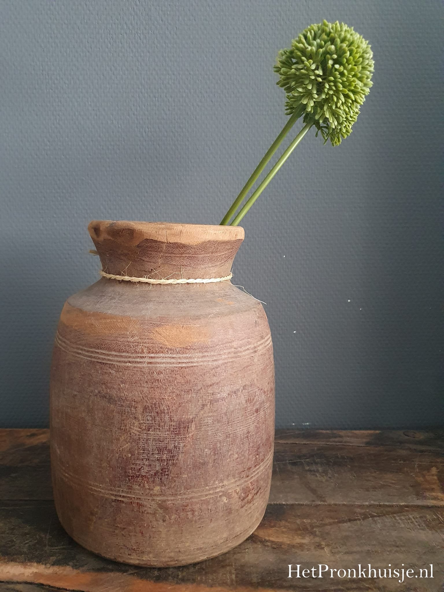Allium. Groen