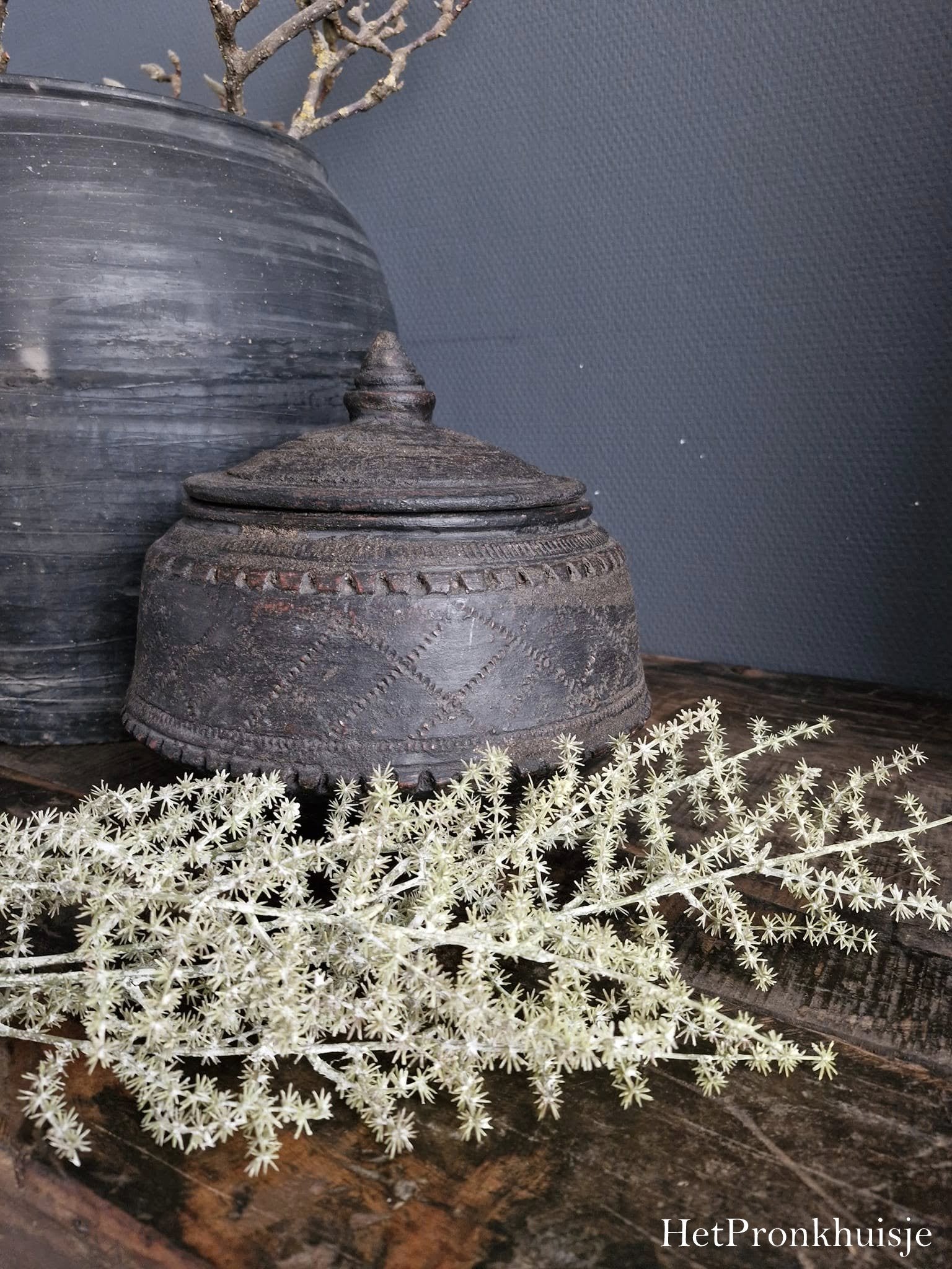 Asparagus tak. Licht groen