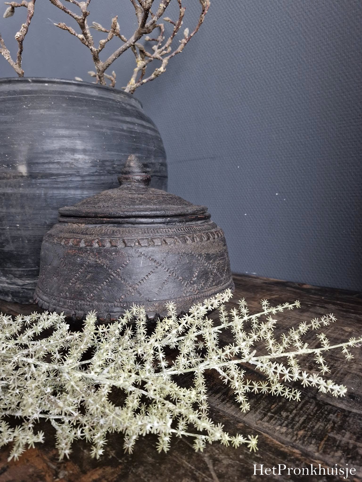 Asparagus tak. Licht groen