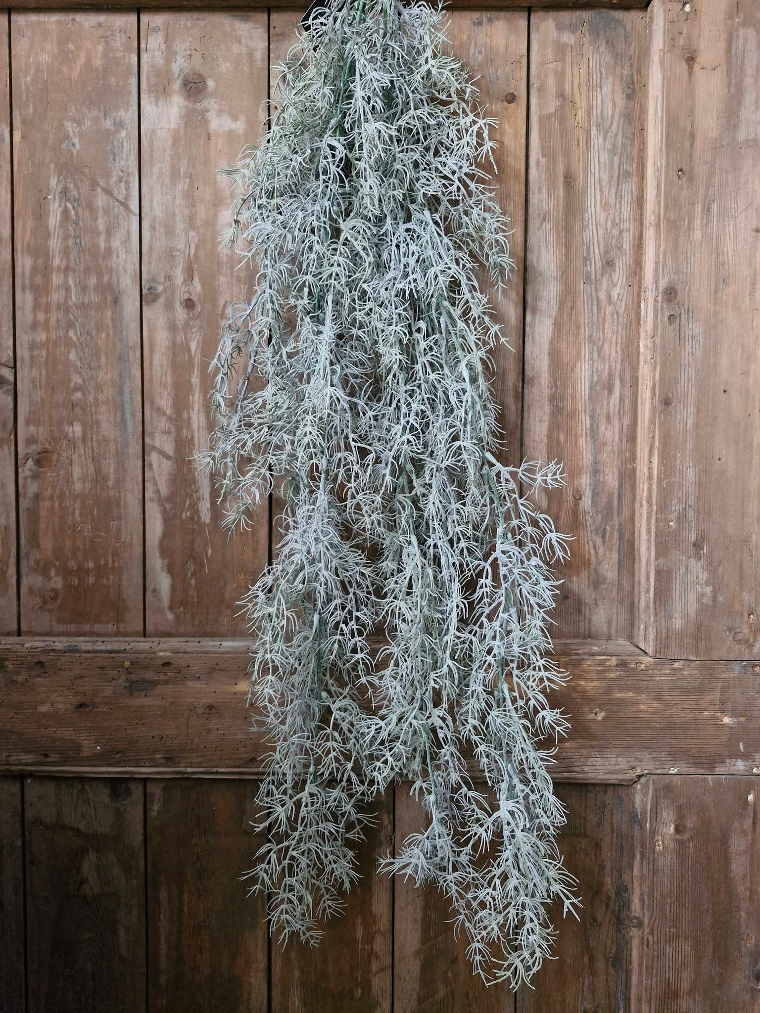 Asparagus hanger