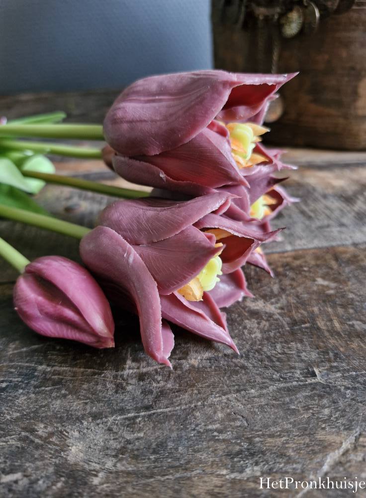 Bos tulpen. Aubergine. 5 stelen
