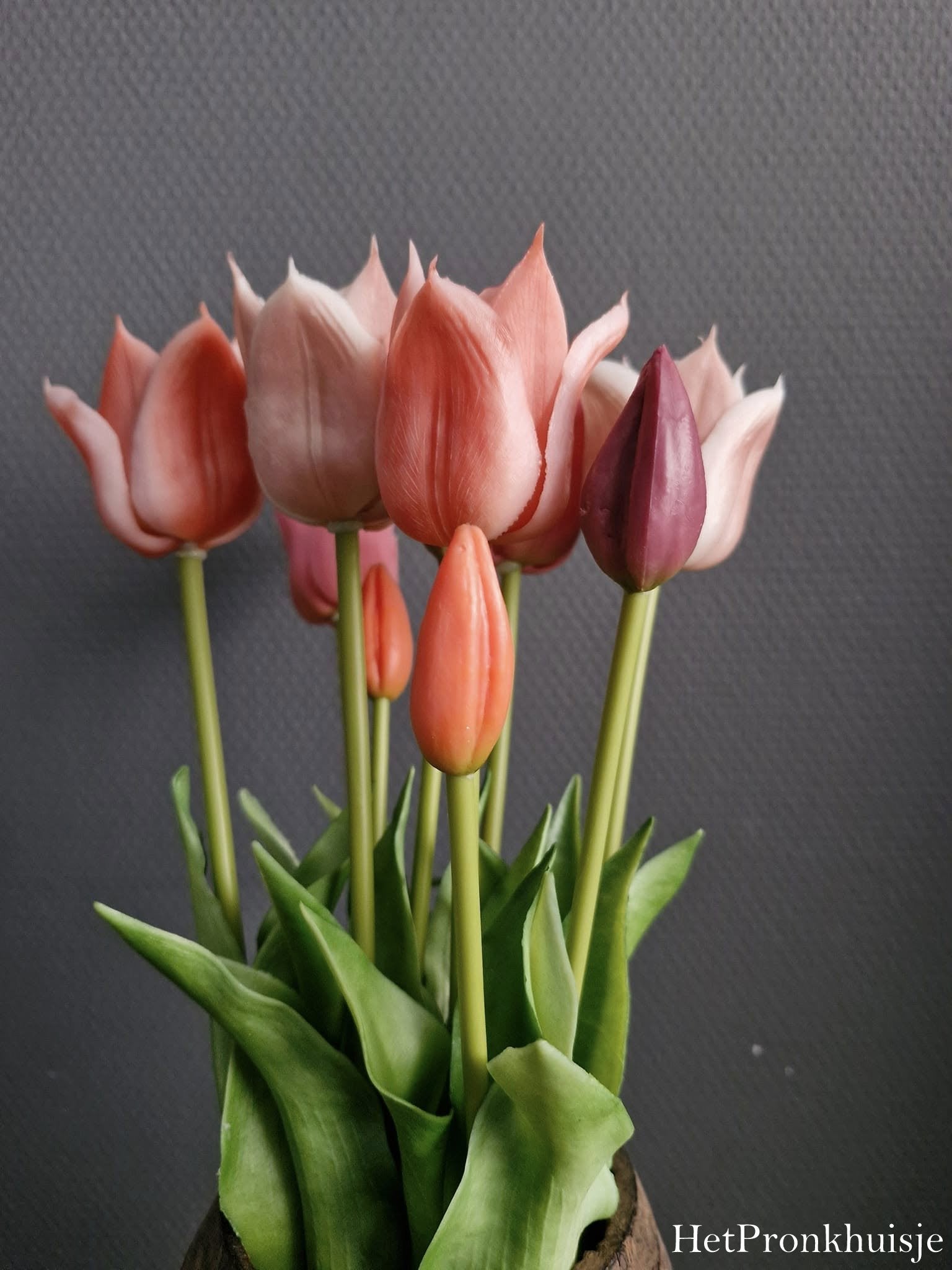 Bos tulpen. Mix roze. 5 stelen