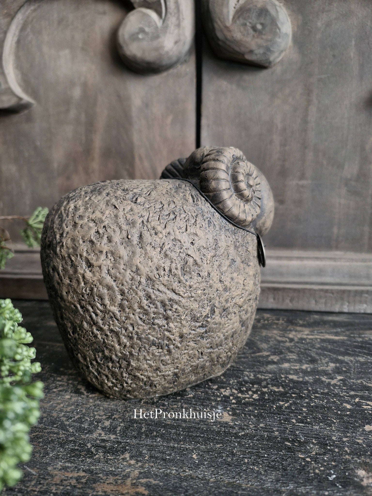 Brynxz Sheep with horn. Majestic brown