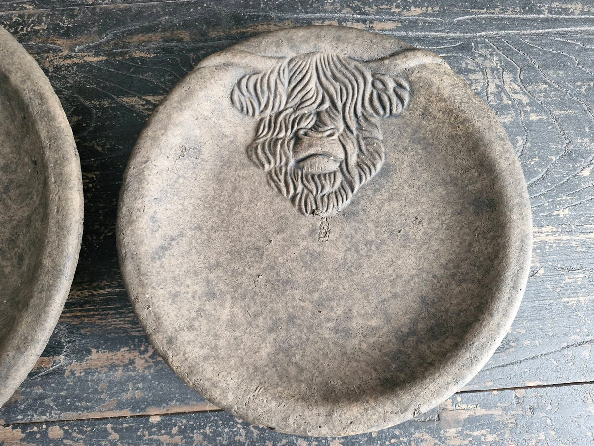 Brynxz. Set of 2 Plates Scotty Majestic Brown