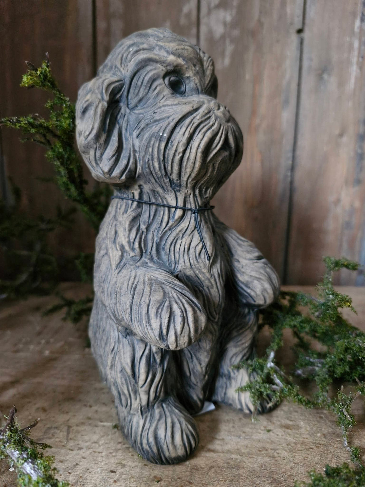 Brynxz. Sitting dog cute. Majestic Brown