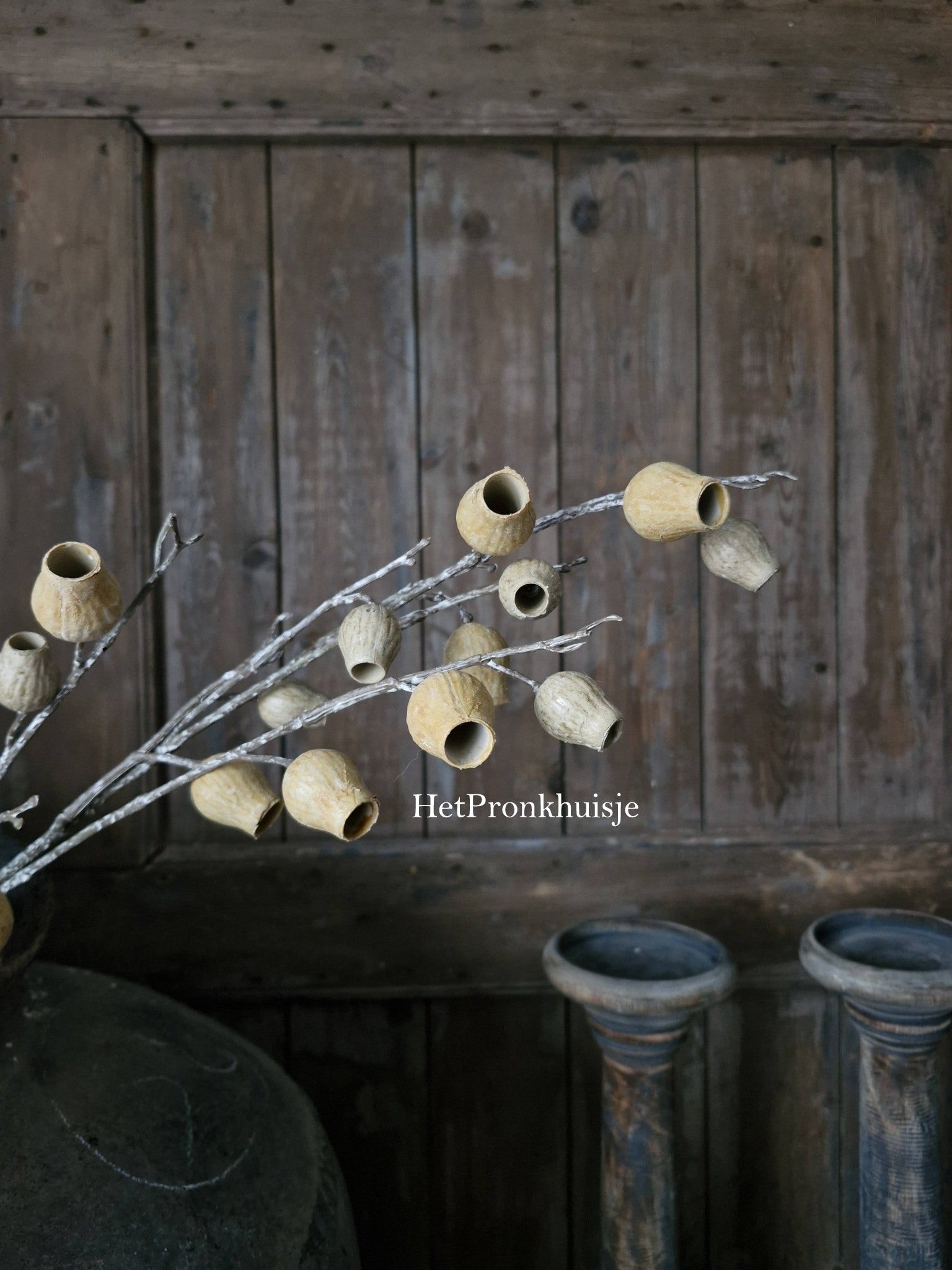 Eucalyptus Bells