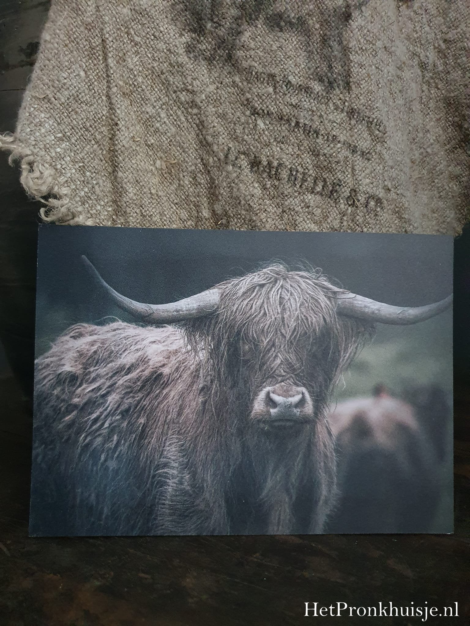 Fotokaart. Hooglander donker