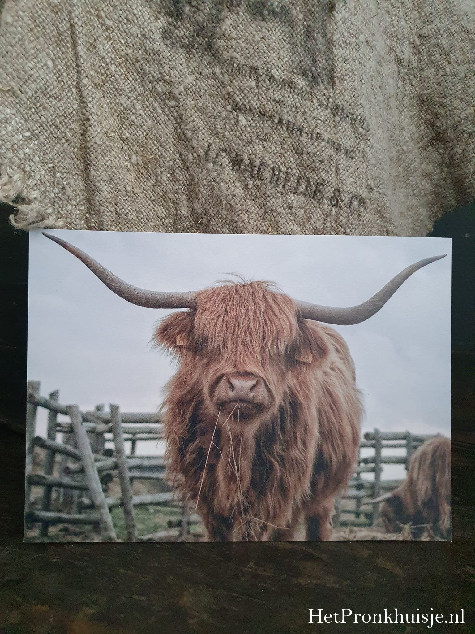 Fotokaart. Hooglander met hek