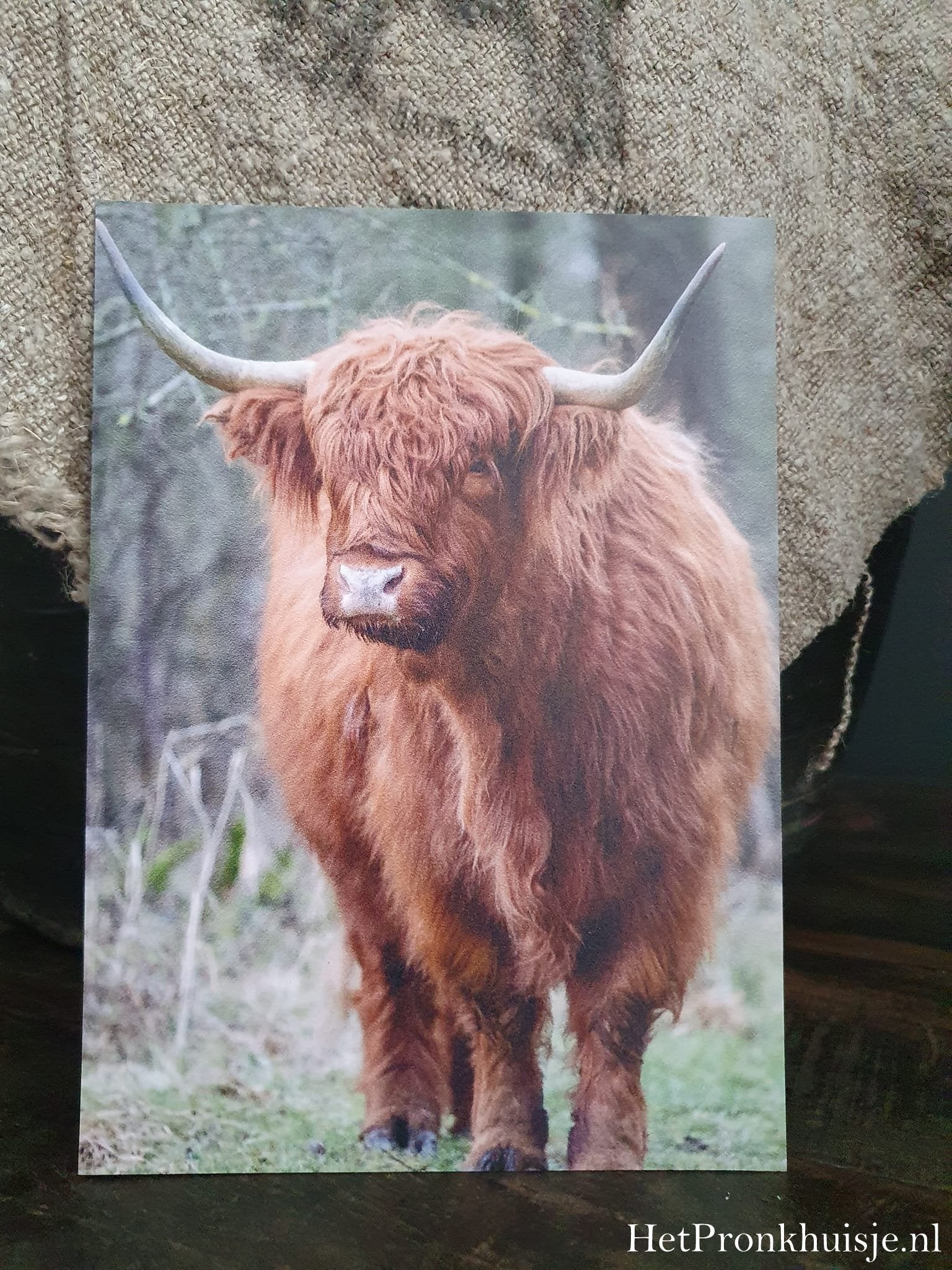 Fotokaart. Hooglander
