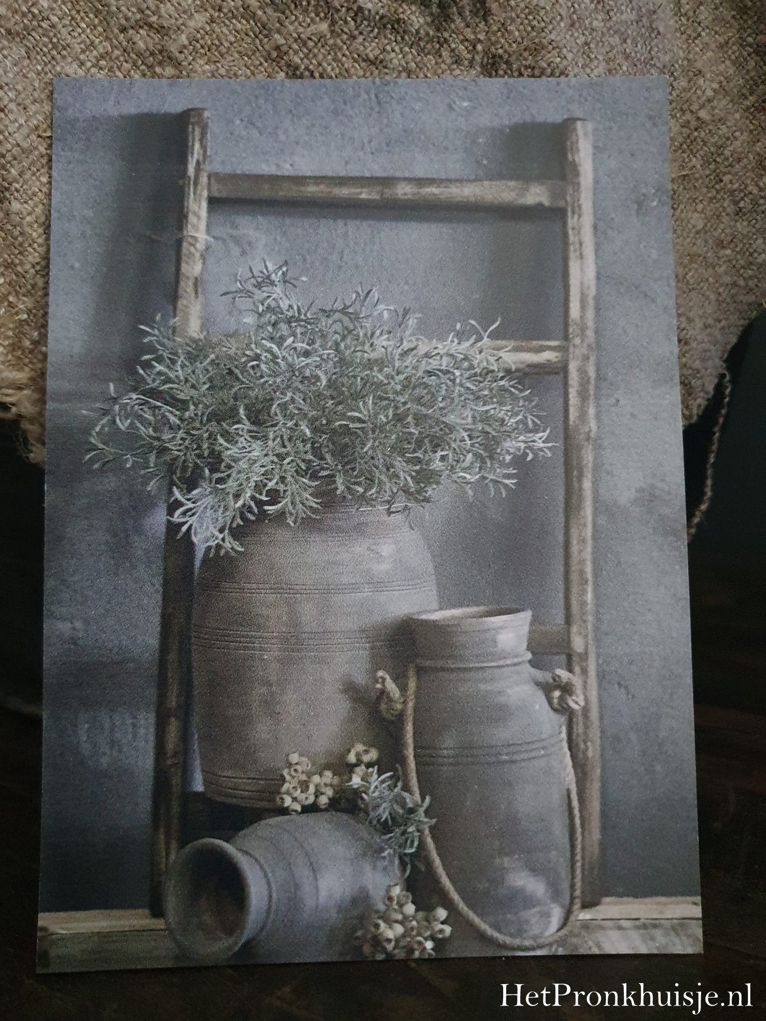 Fotokaart. Ladder met potten