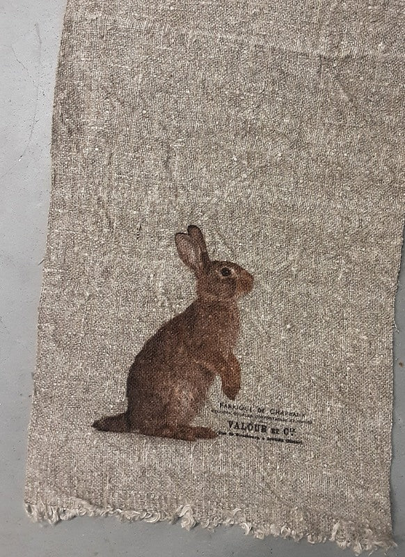 Gekleurde shabby doek. Konijn