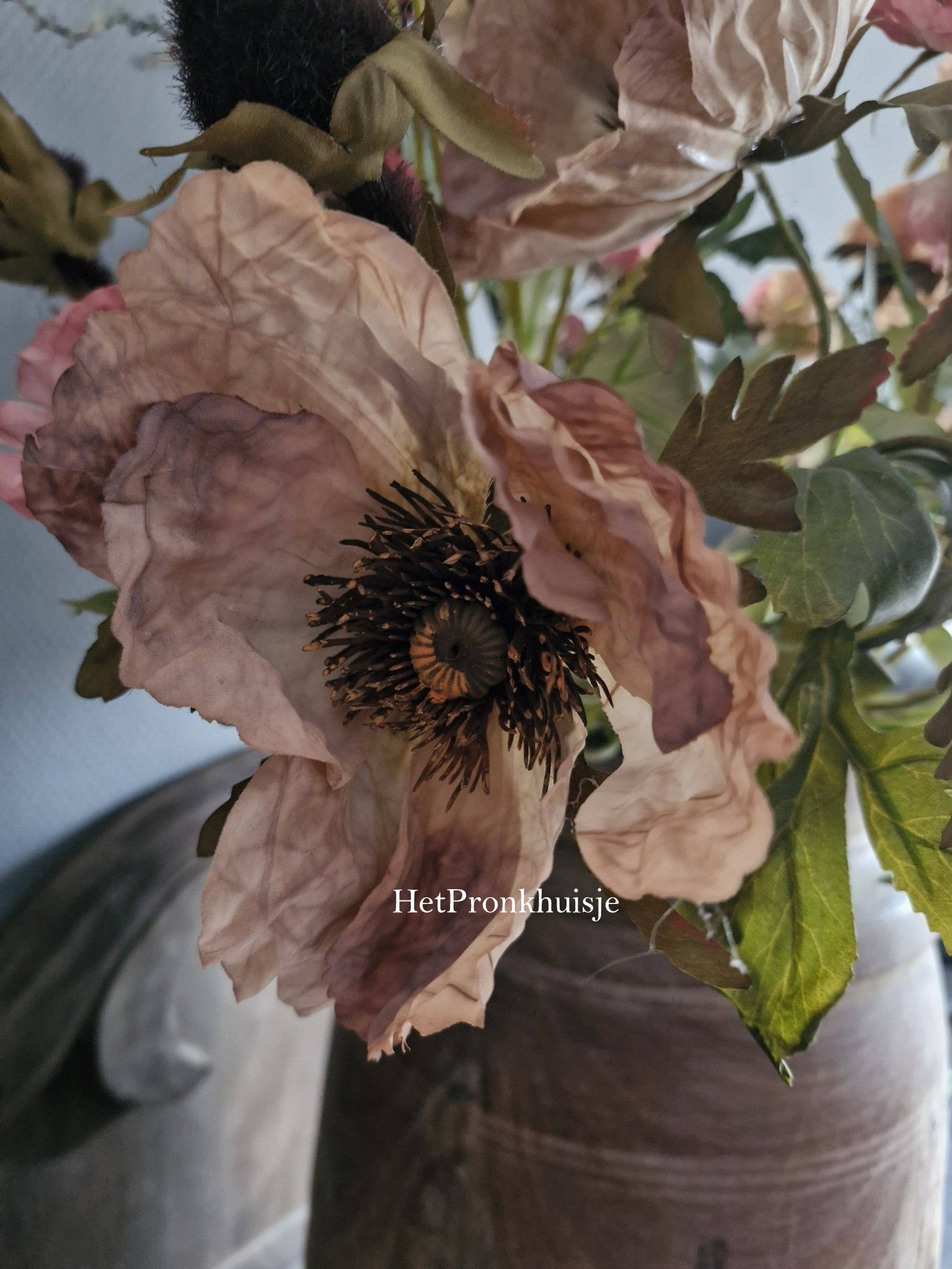 Grote klaproos. Bruin