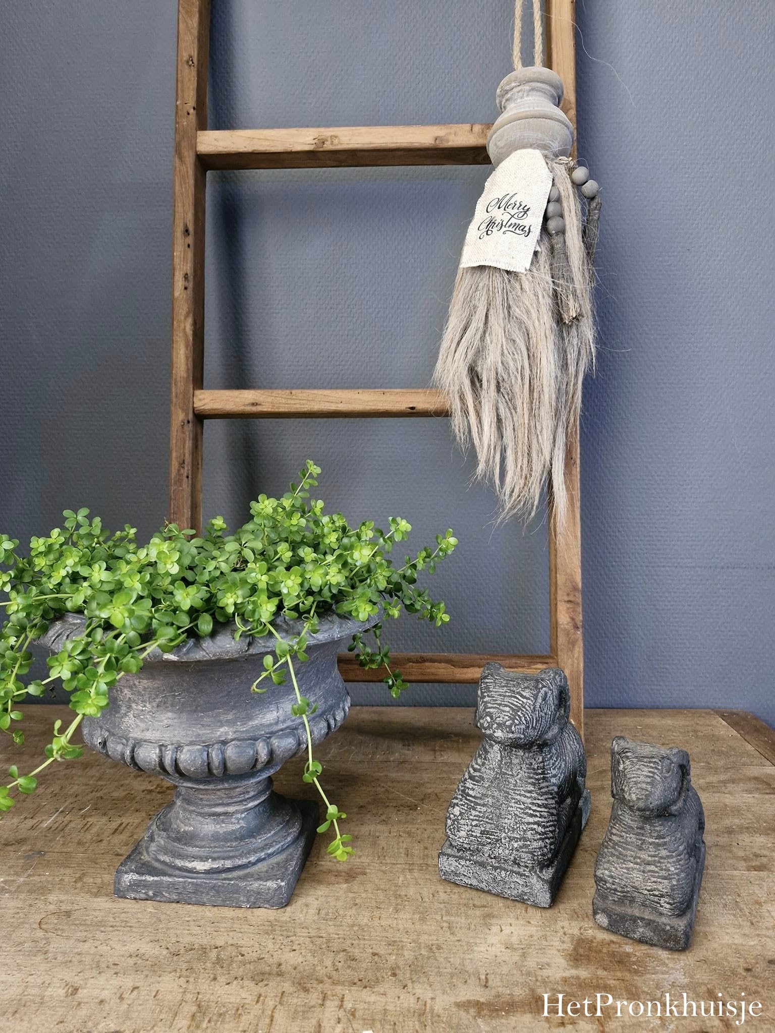 Grote woltoef. Nr 7