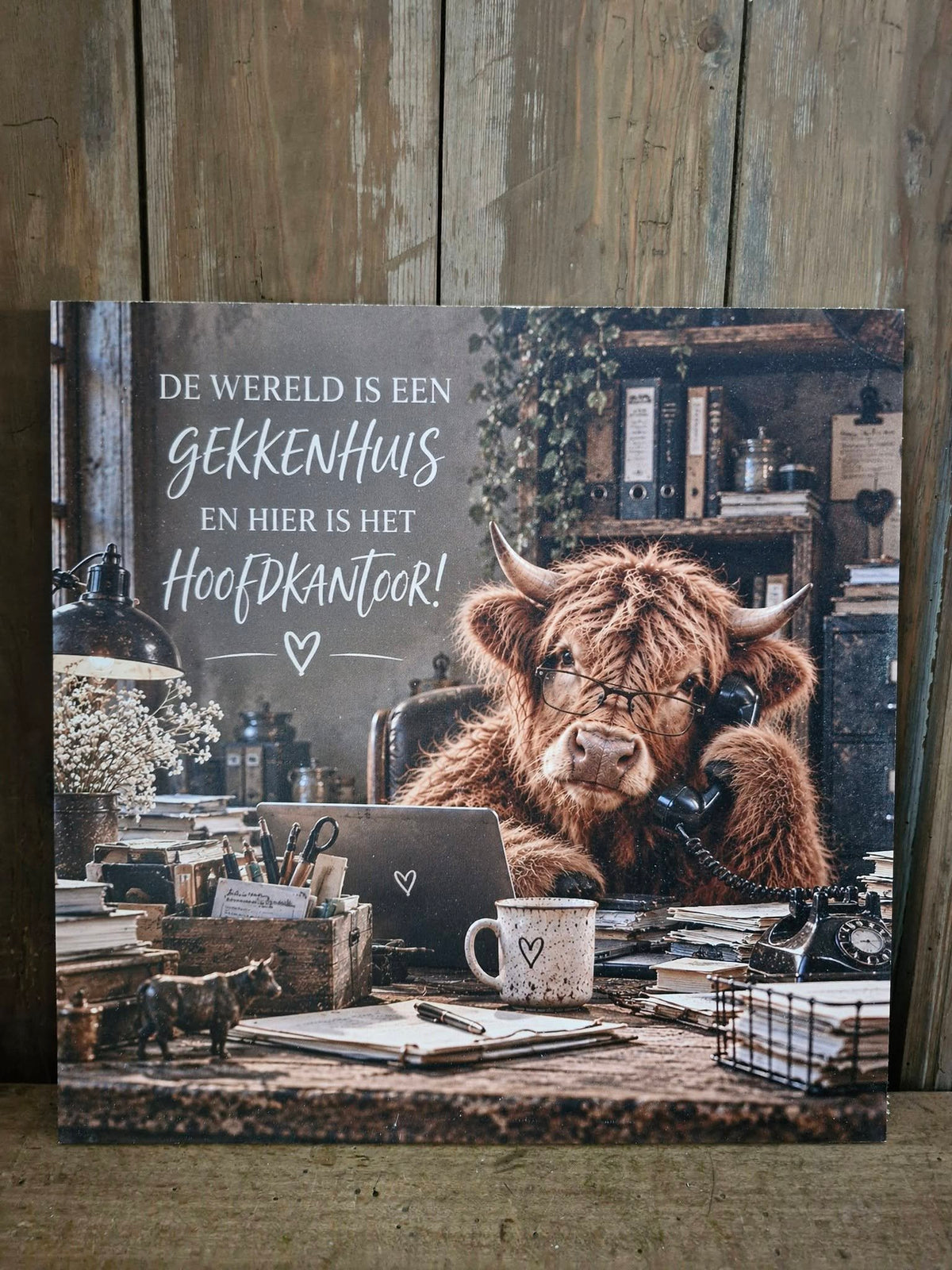 Houten bord. 30x30. Gekkenhuis