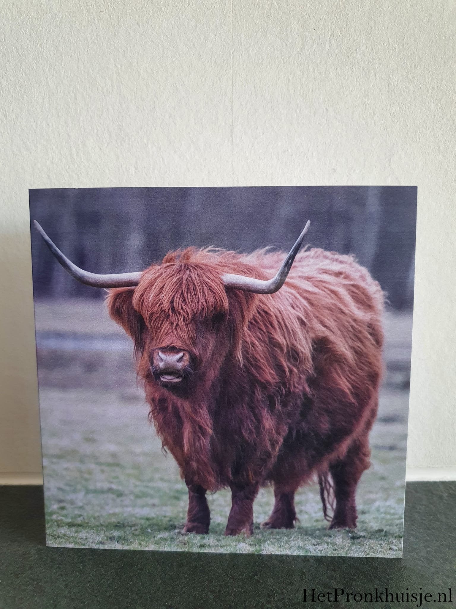 Kaart. Schotse hooglander