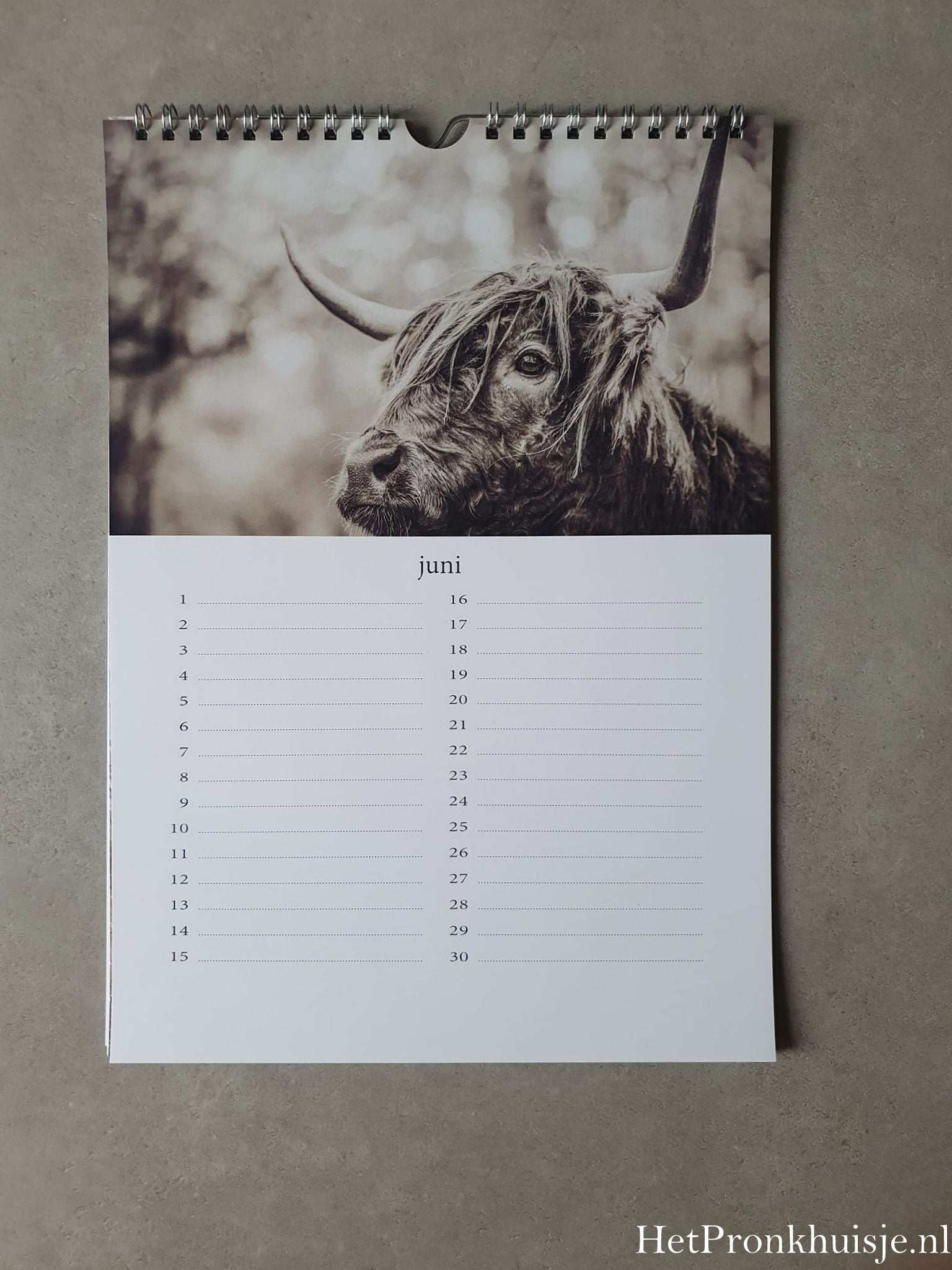 Kalender. Hooglanders sepia