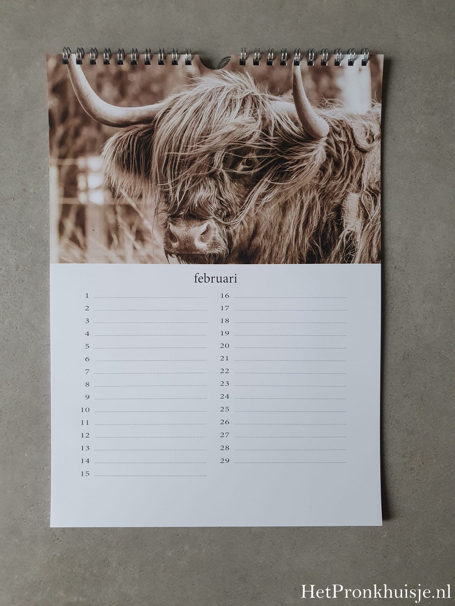 Kalender. Hooglanders sepia