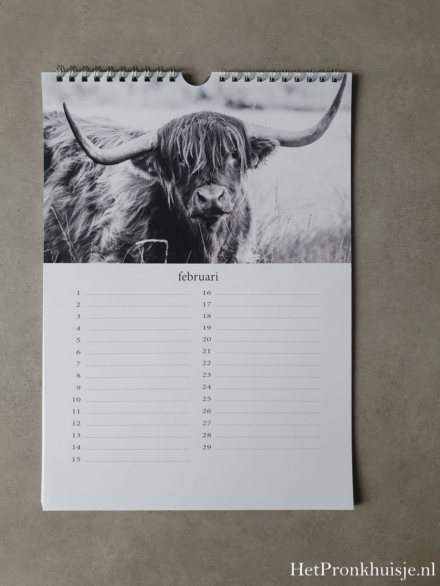 Kalender. Hooglanders zwart wit