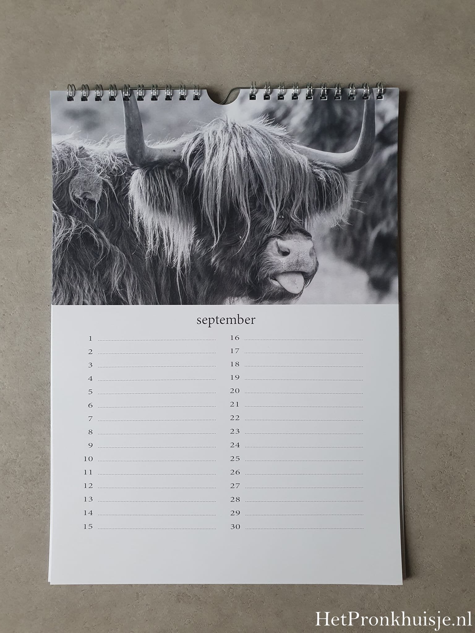 Kalender. Hooglanders zwart wit