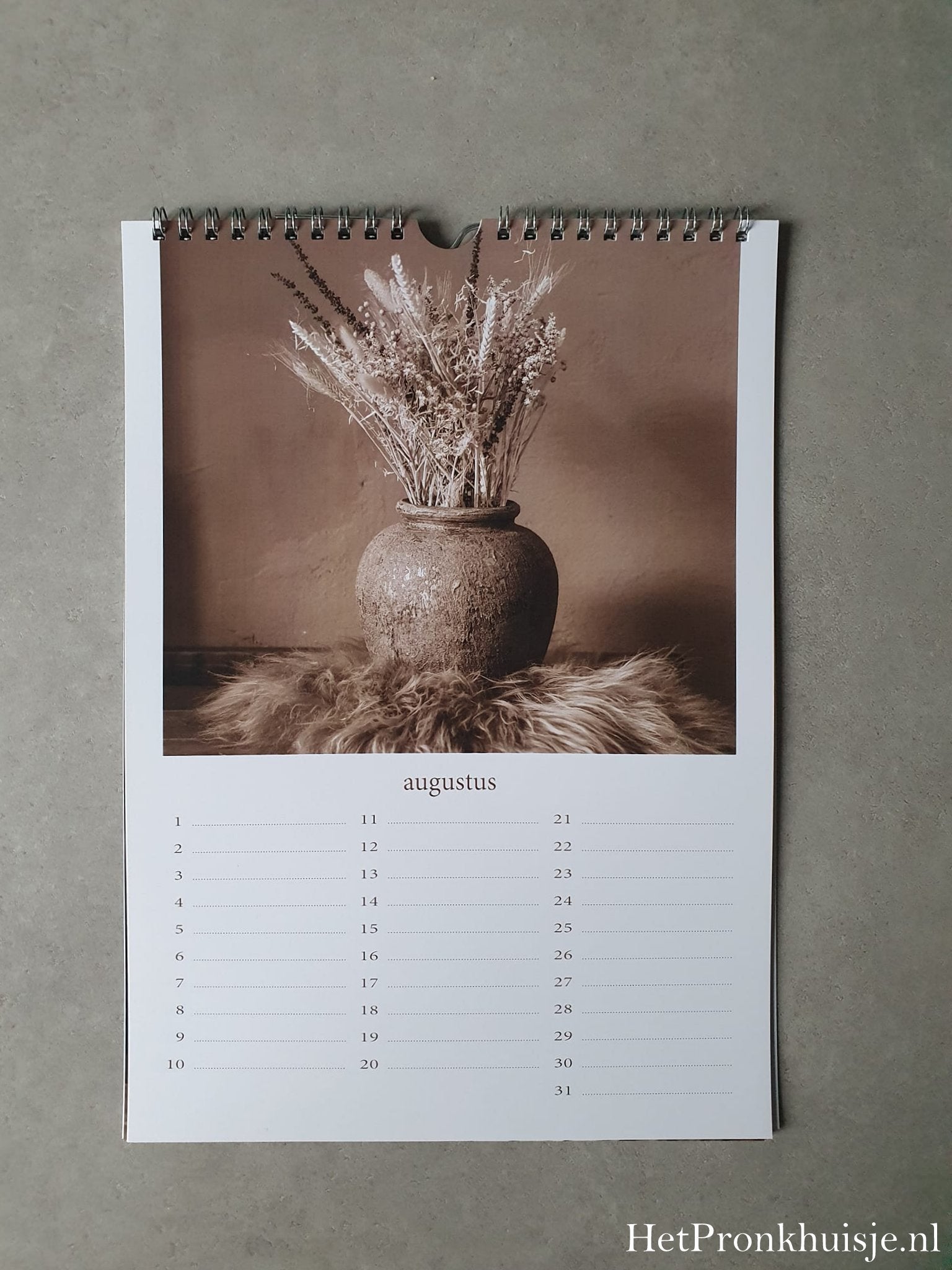 Kalender. Magnolia sepia