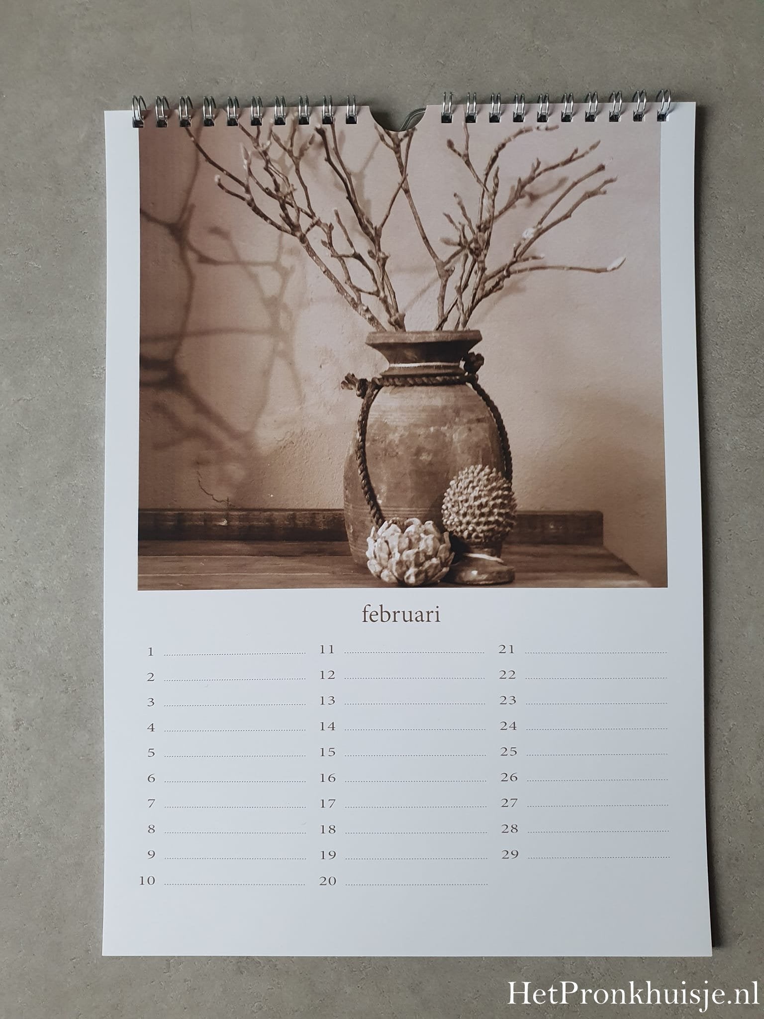Kalender. Magnolia sepia