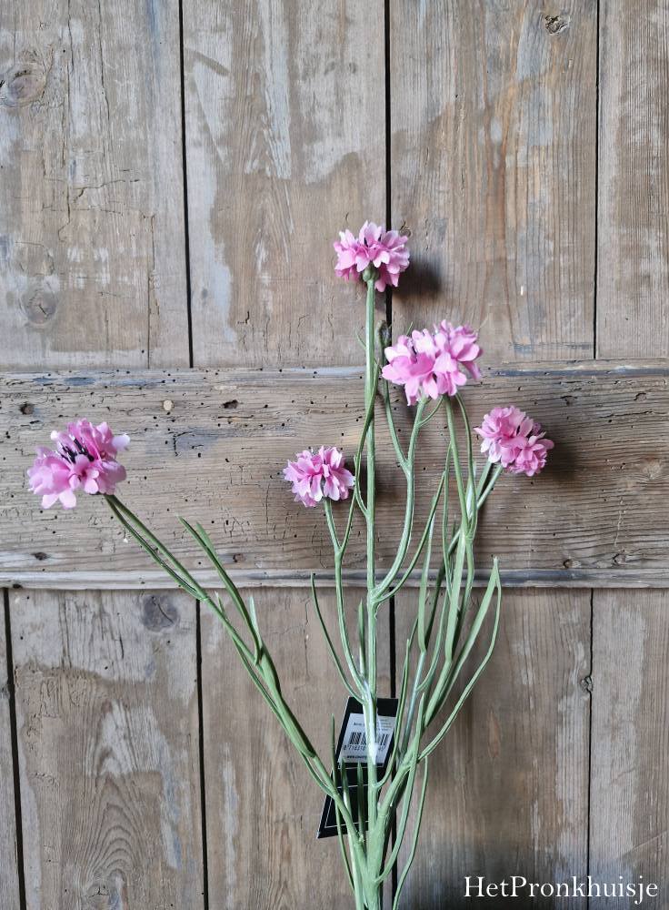 Korenbloem roze