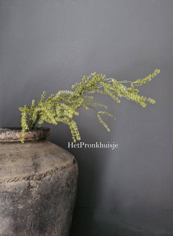 Kunst asparagus tak