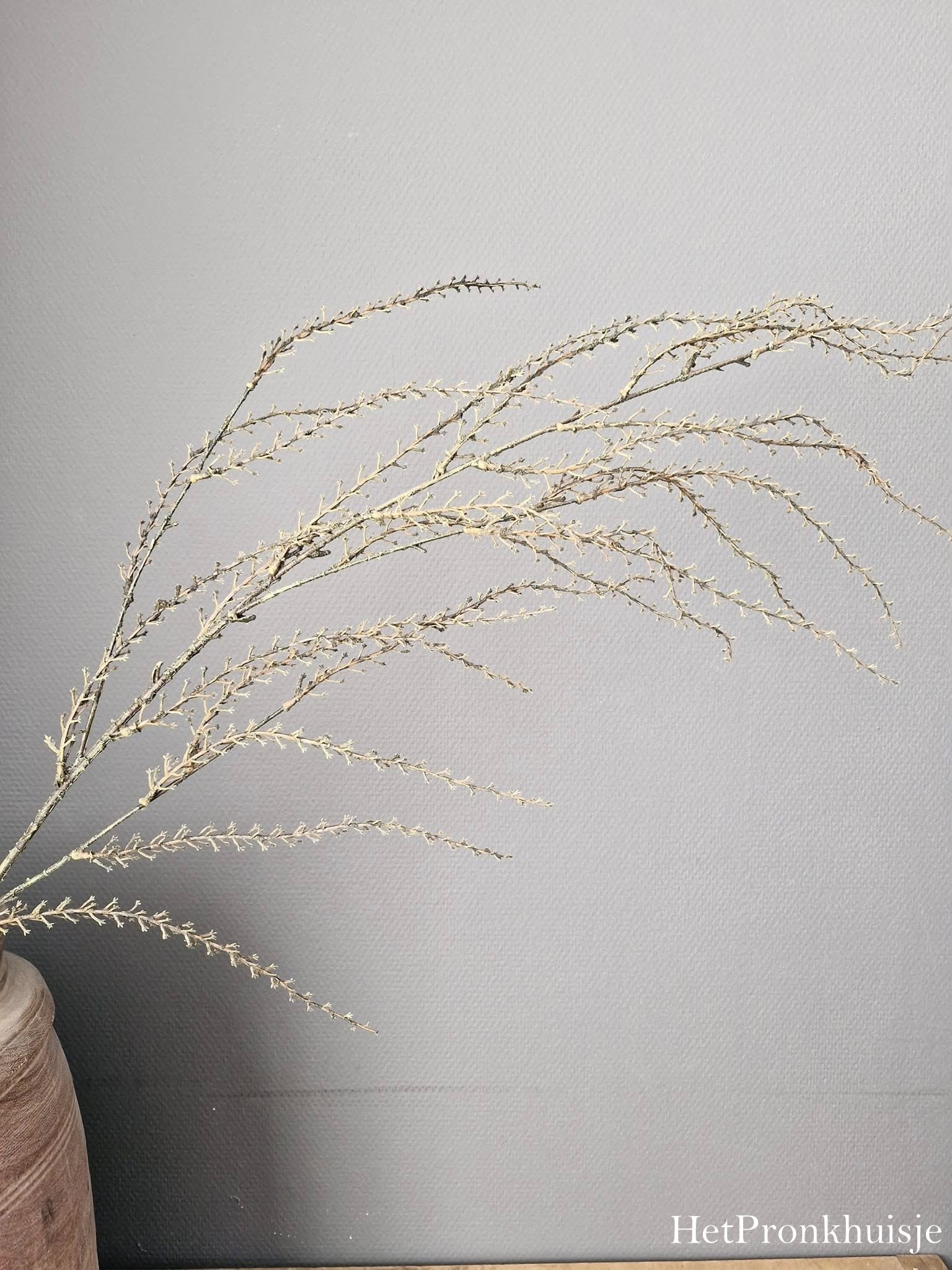 Kunsttak Euphorbia