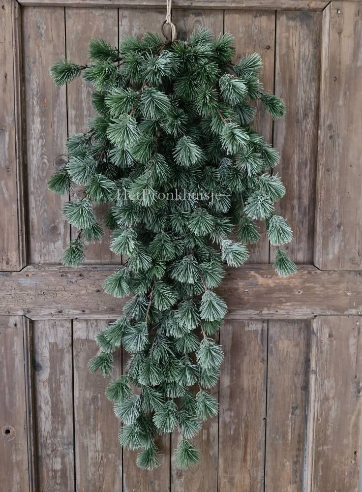 Larix toef. Real touch