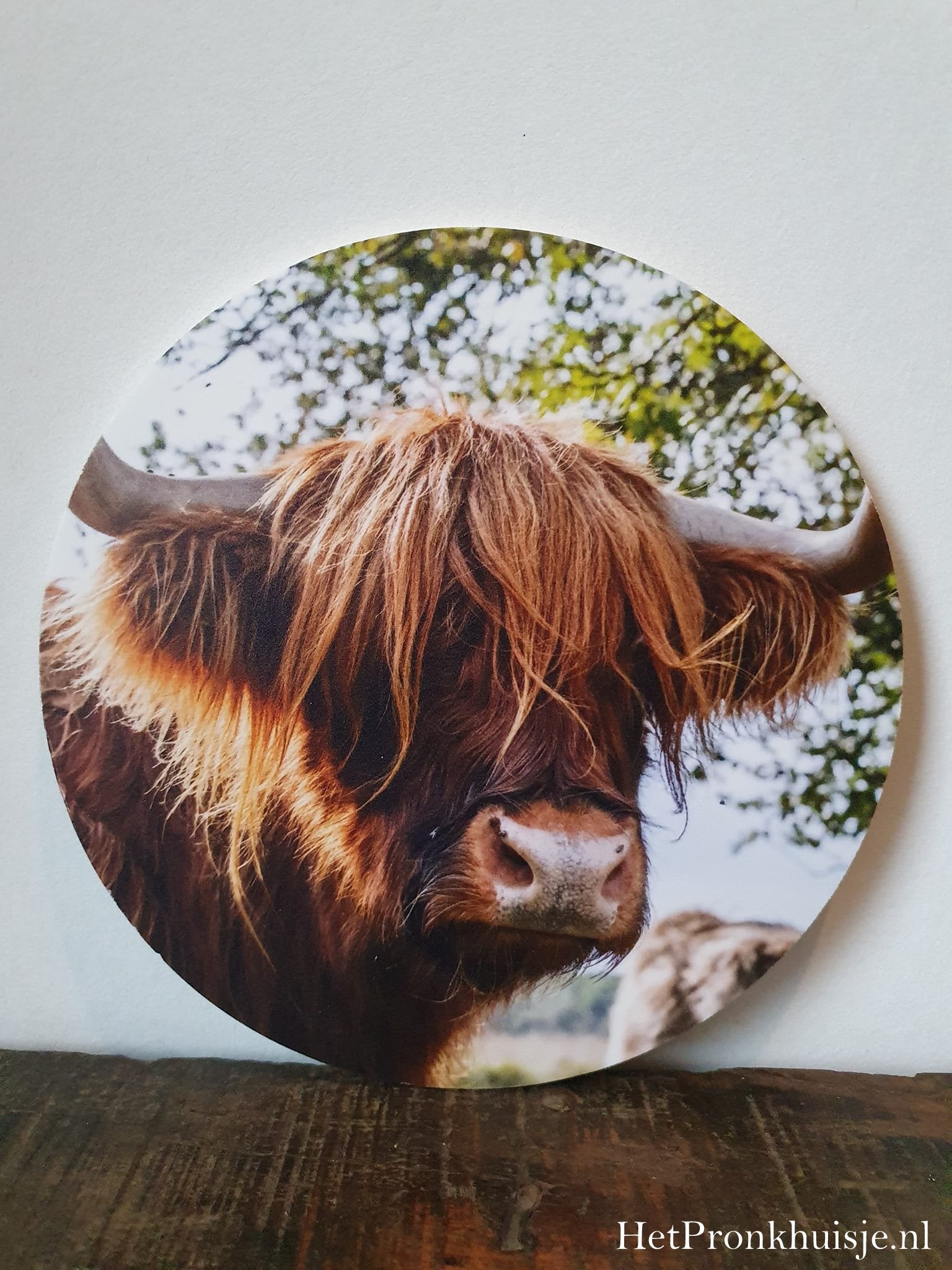 Muurcirkel. Hooglander Nr1.