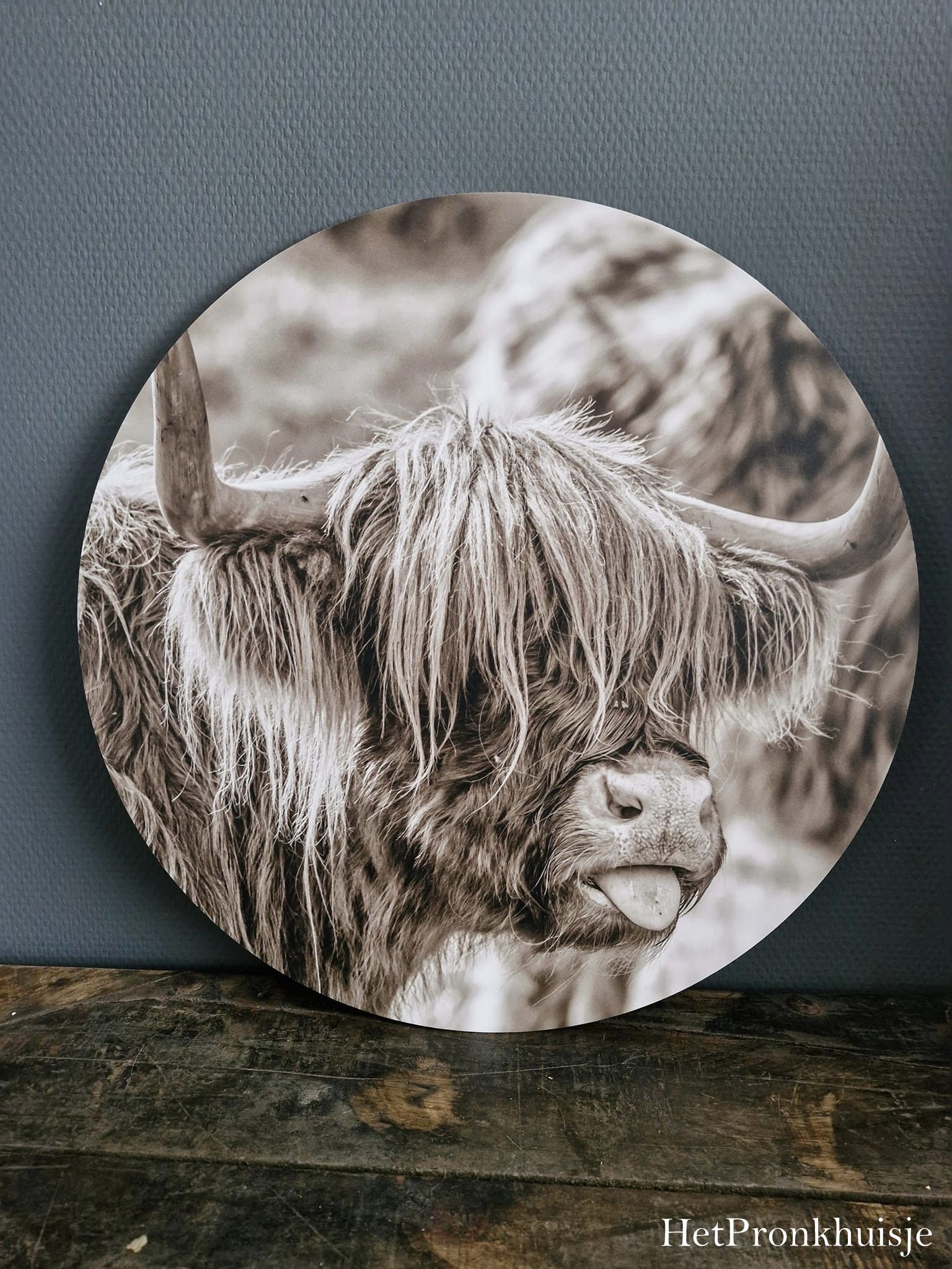 Muurcirkel. Hooglander tong. Sepia