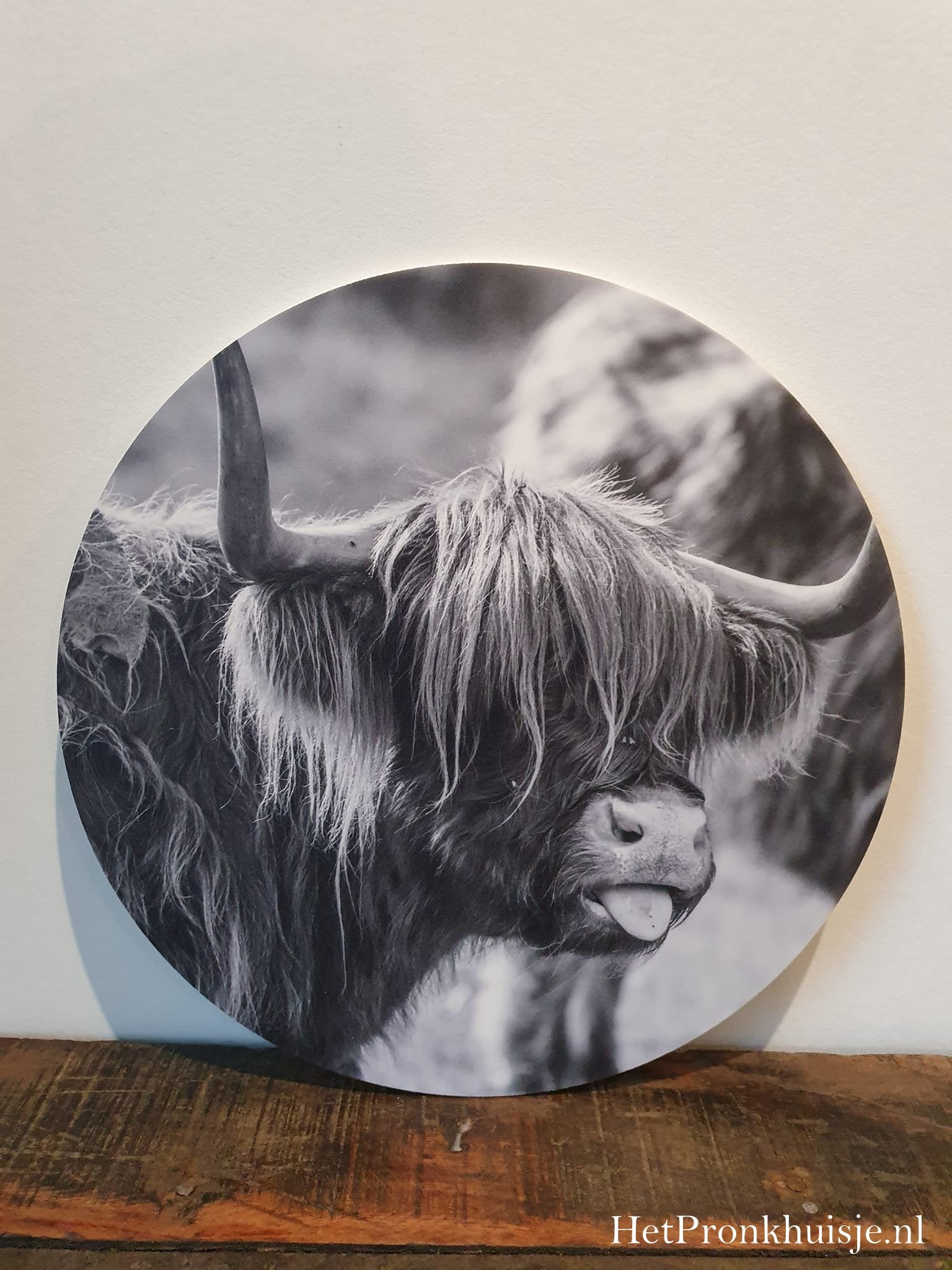 Muurcirkel. Hooglander tong. Zwart wit