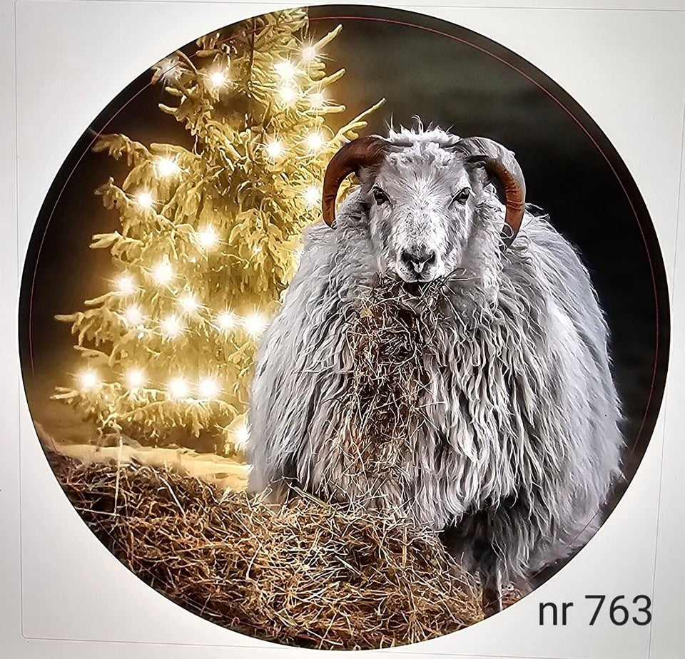Muurcirkel. Schaap bij kerstboom.