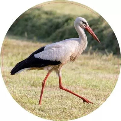 Pannenonderzetter. 17