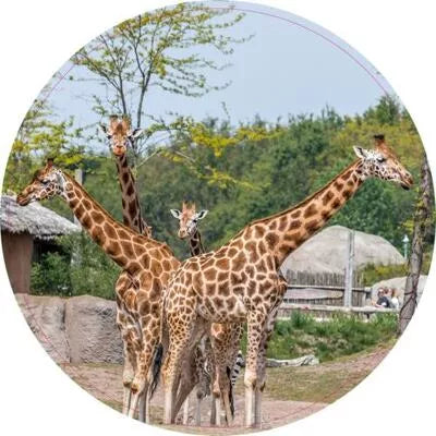 Pannenonderzetter. 34
