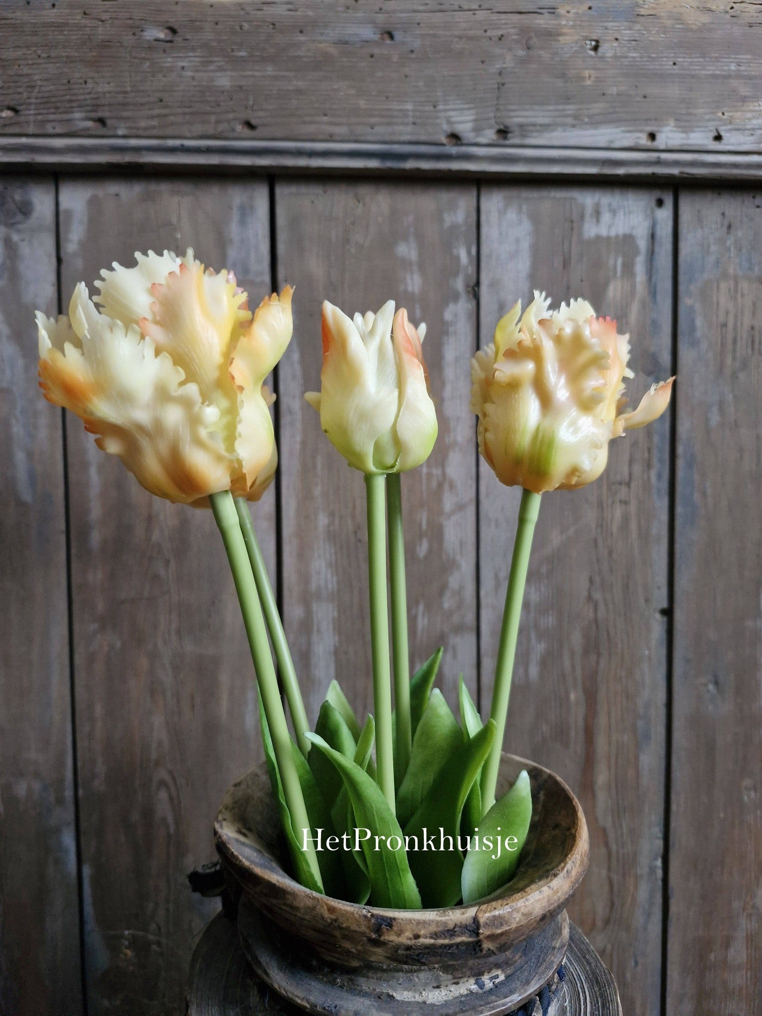 Papagaai tulpen. 5 stelen