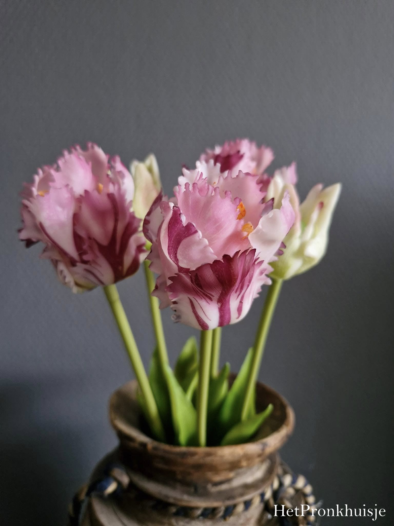 Papagaai tulpen. Paars roze. Bos 5 stelen