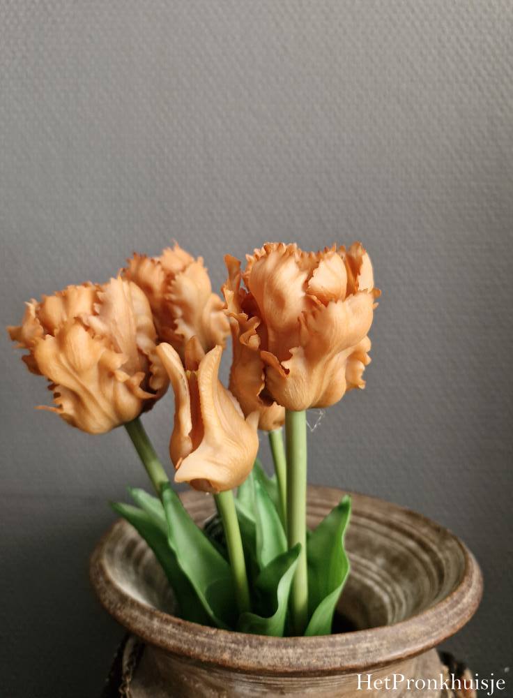 Papagaai tulpen. Roest. 5 stelen