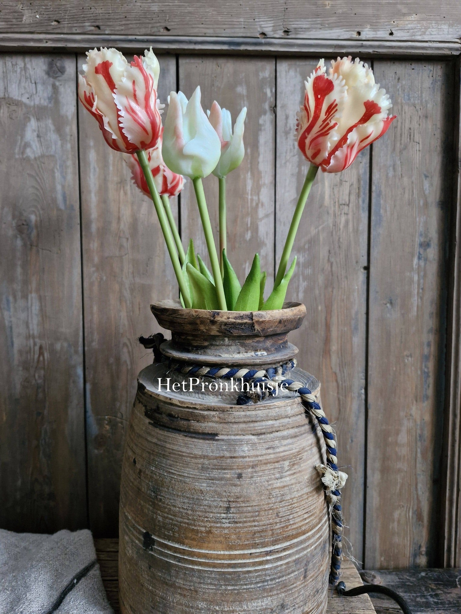 Papagaai tulpen. Rood. 5 stelen