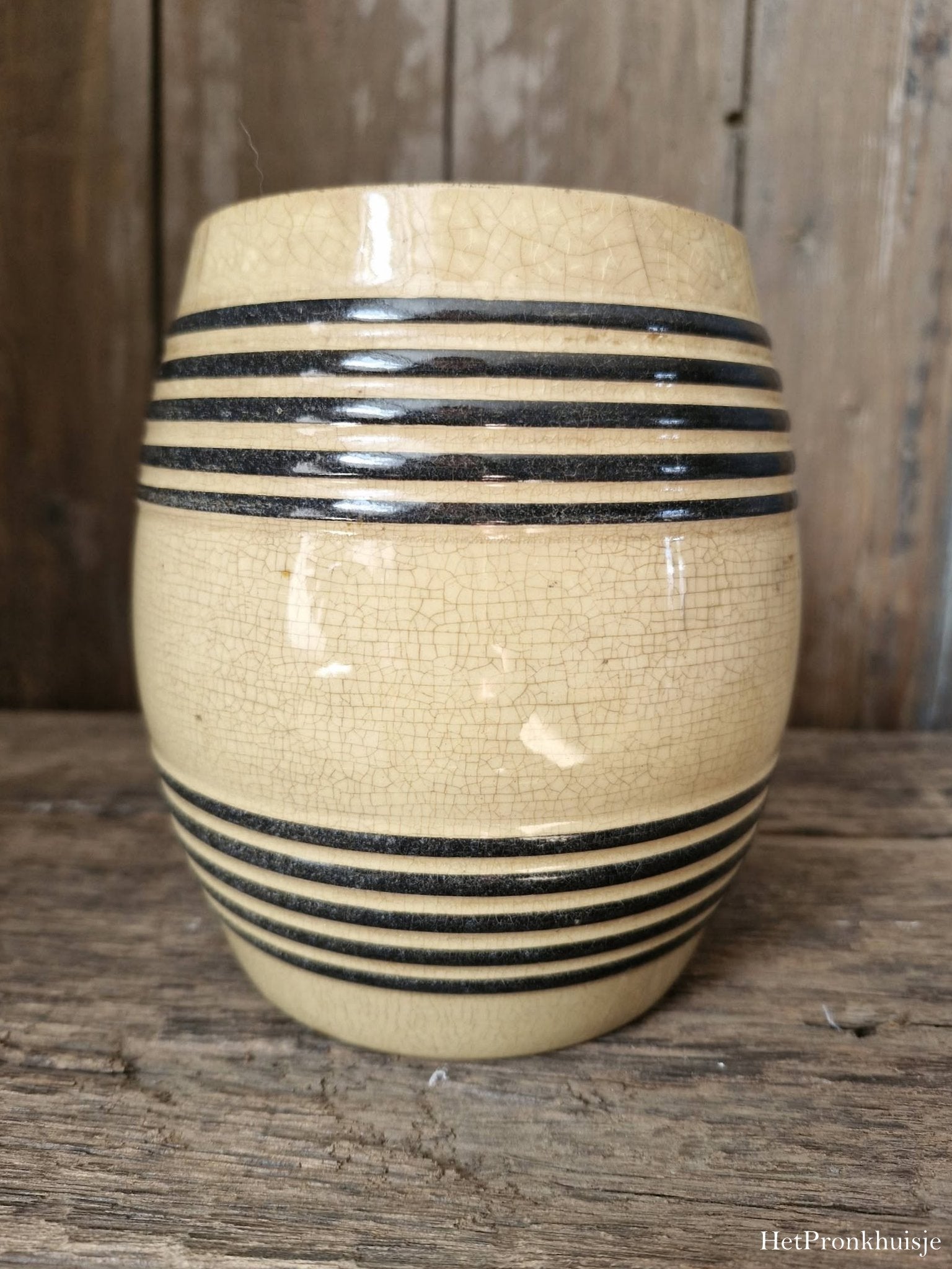 Petrus Regout banden pot