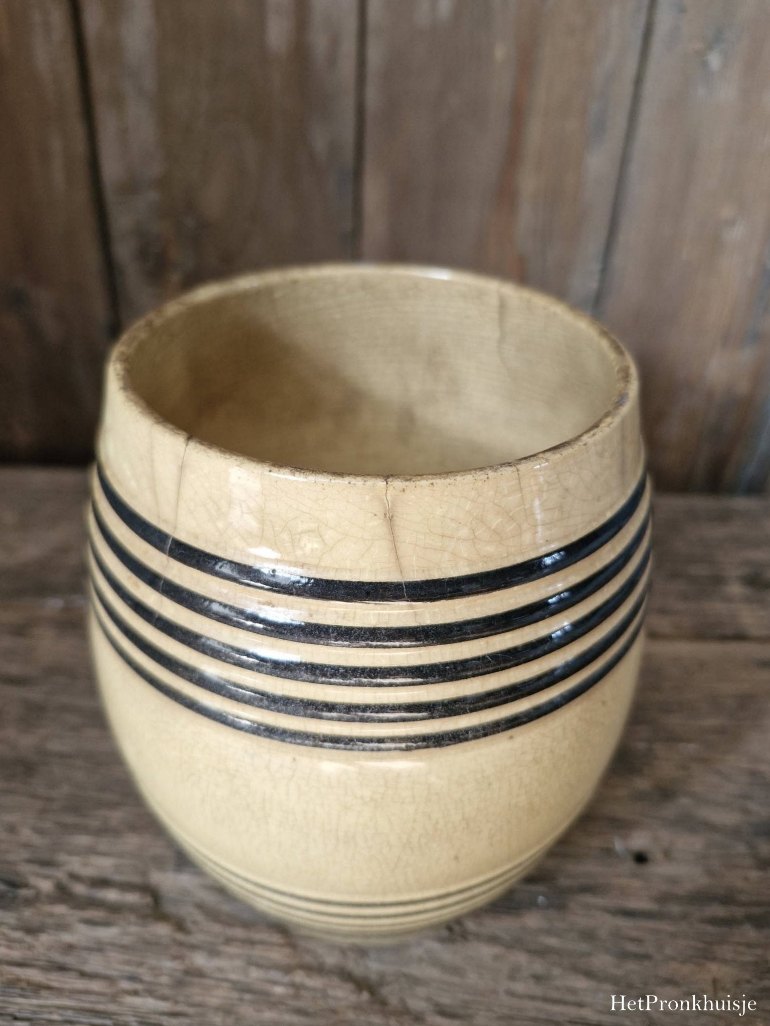 Petrus Regout banden pot