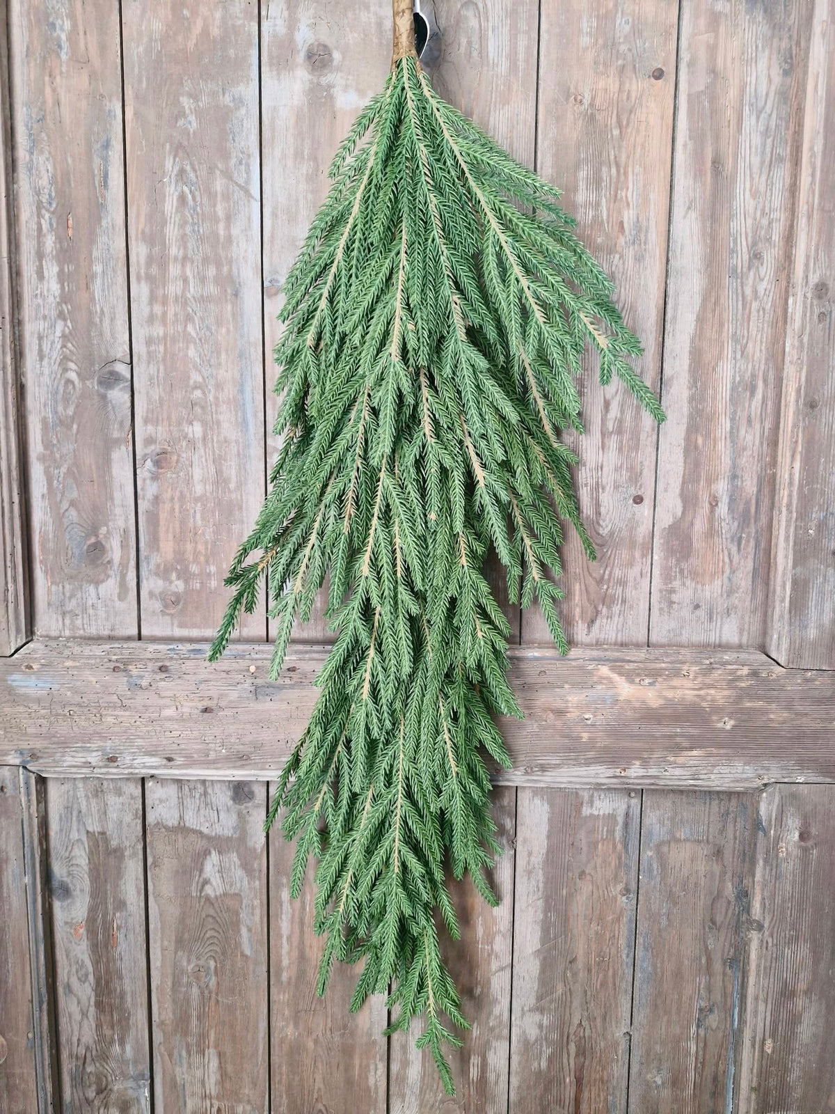 Picea Abies toef. Real Touch