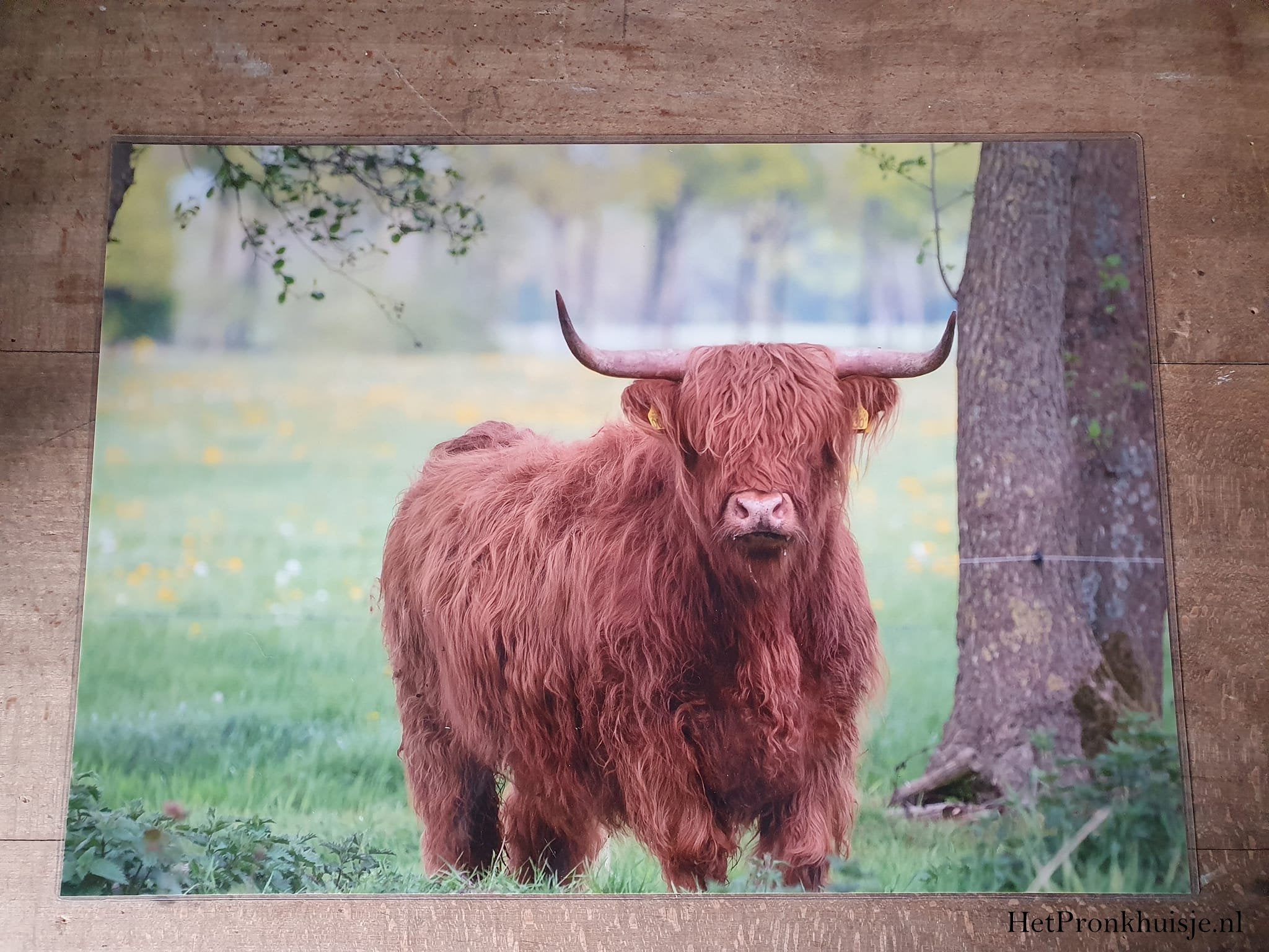Placemat. Hooglander bruin