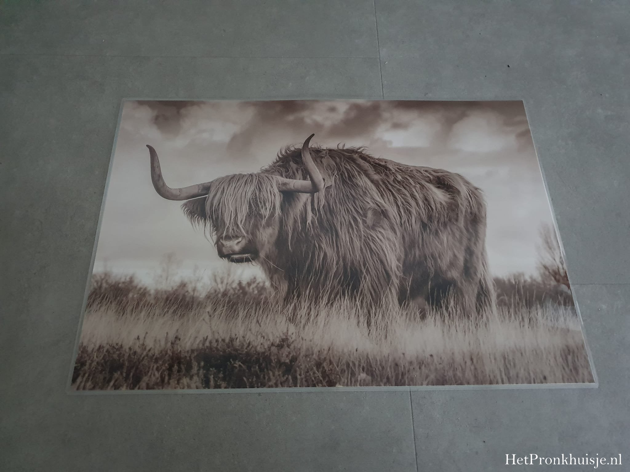 Placemat. Hooglander in veld