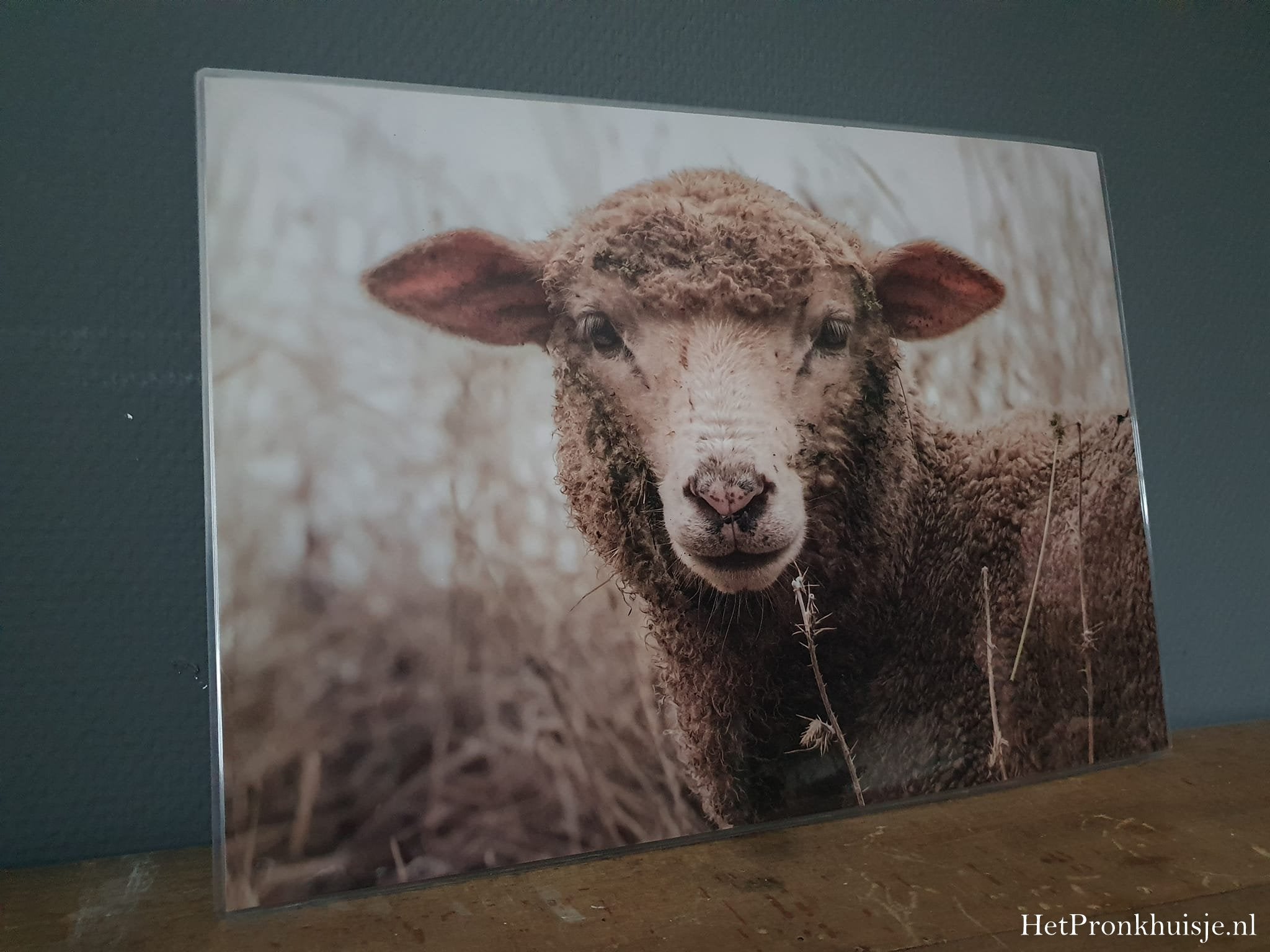 Placemat. Nr 113
