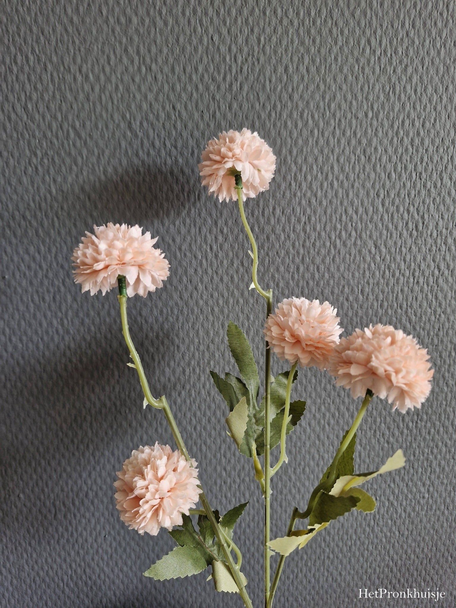 PomPom Dahlia. Roze