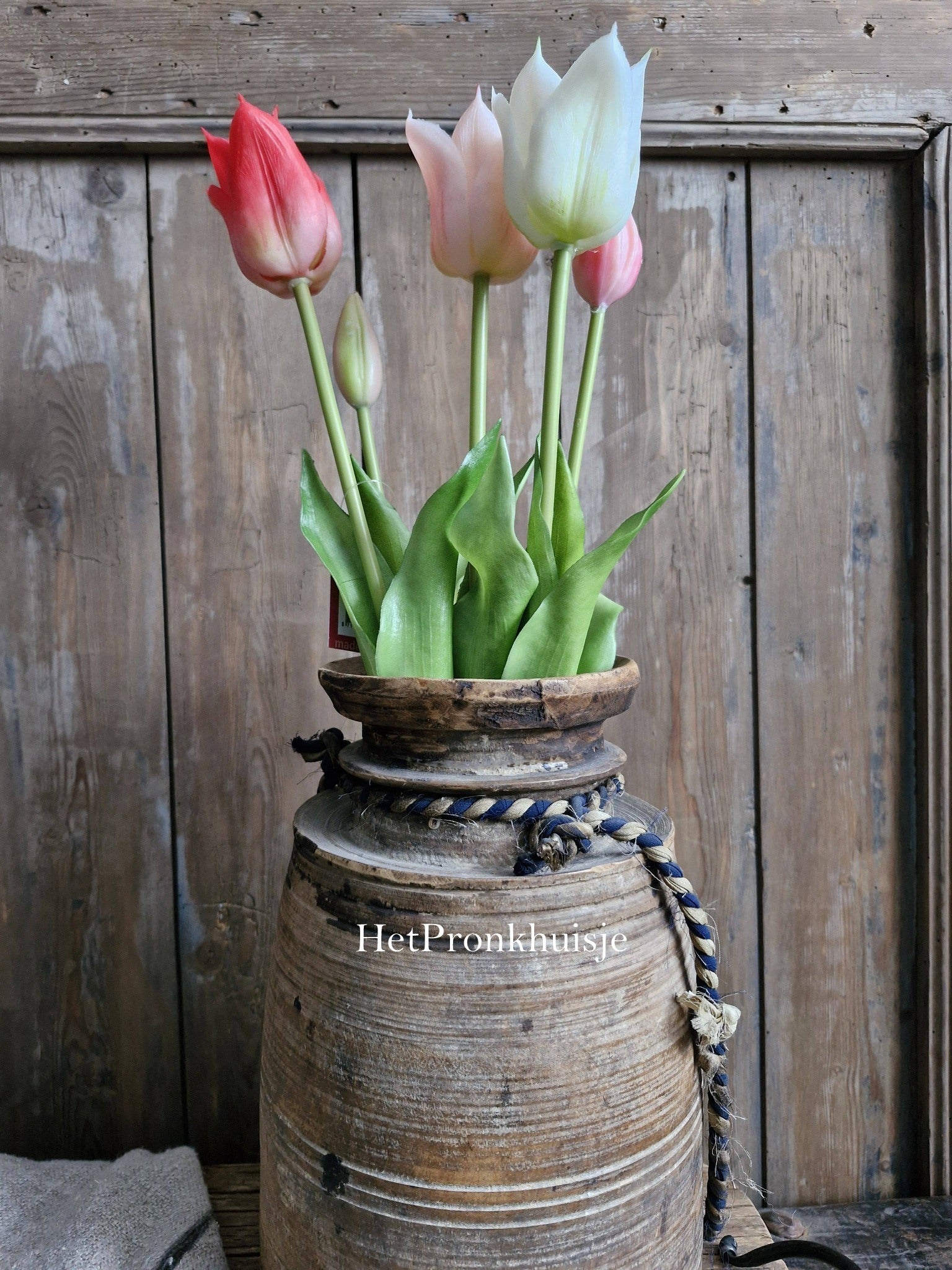 Punt tulp. Mix roze
